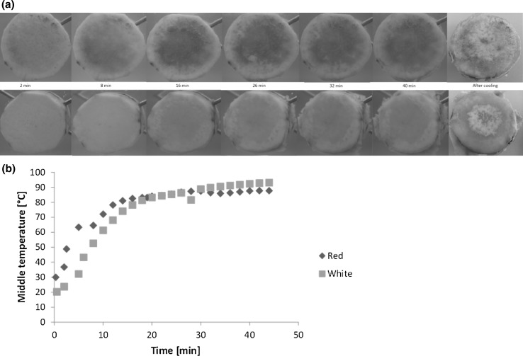 Fig. 1