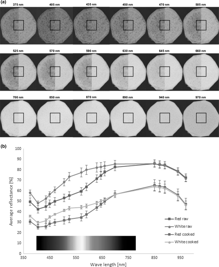 Fig. 2