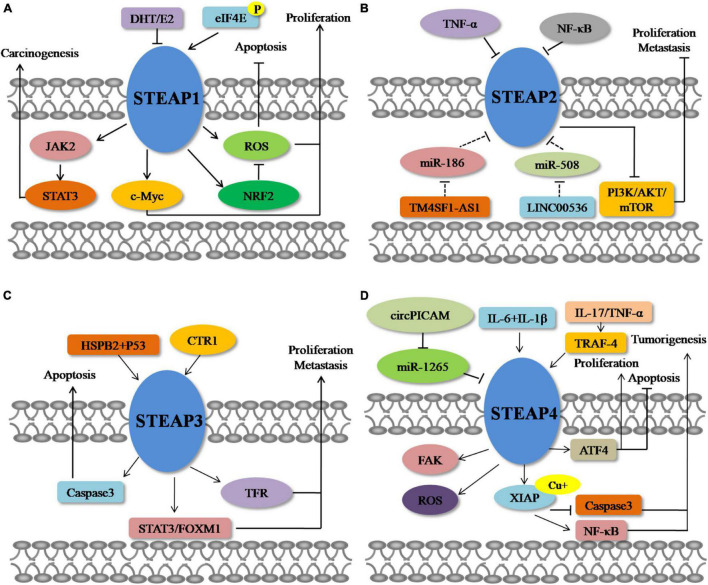 FIGURE 2