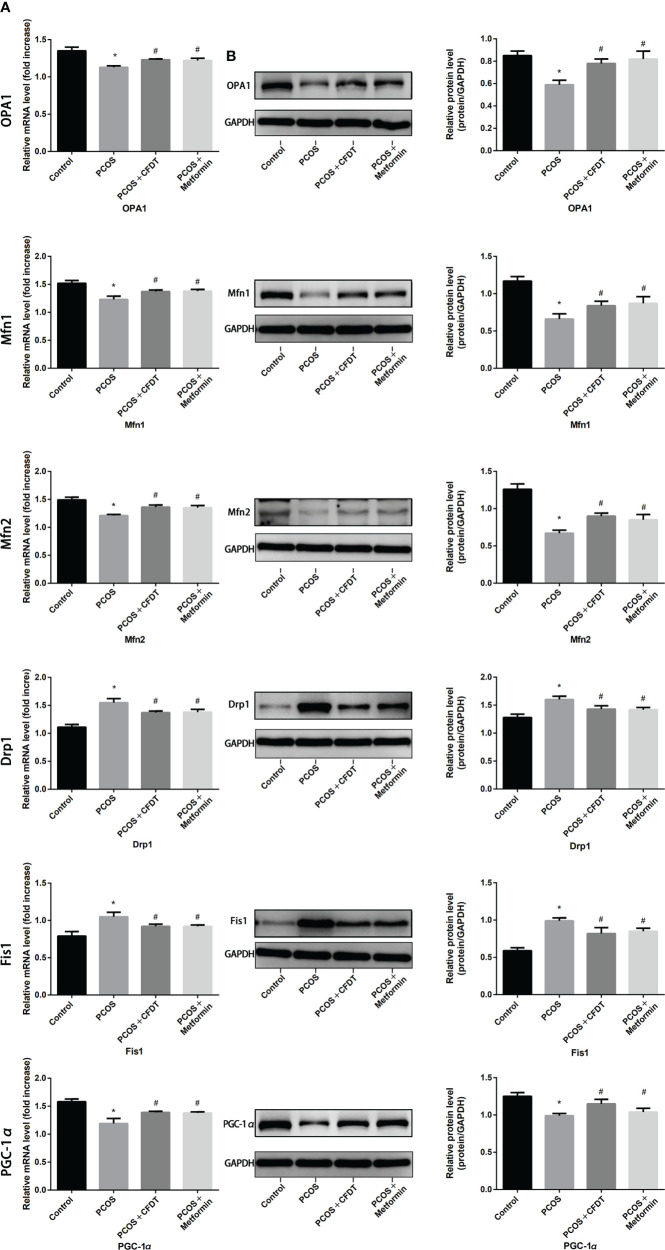 Figure 4