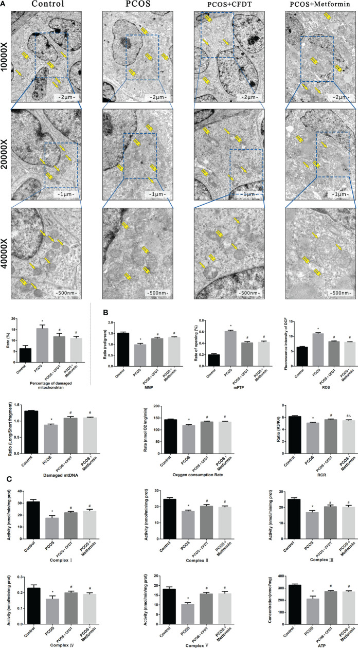 Figure 3