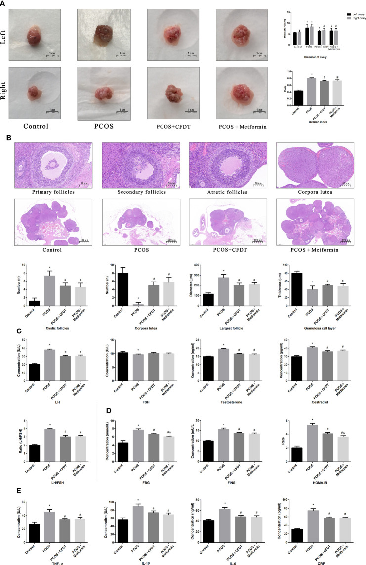 Figure 2