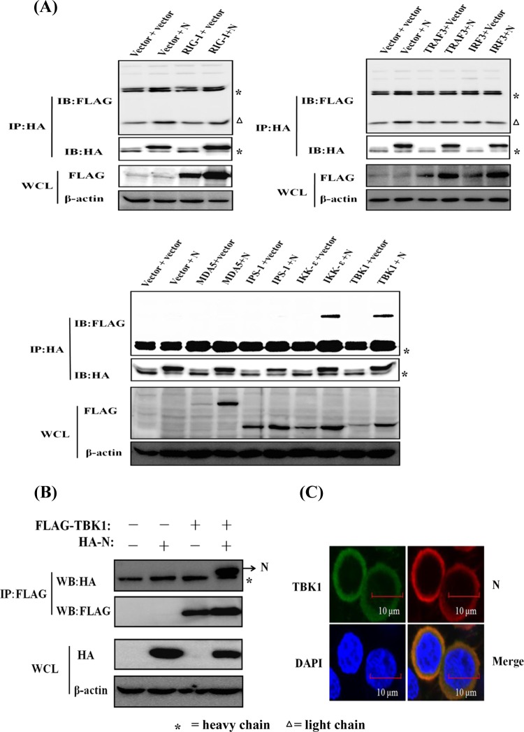 FIG 5