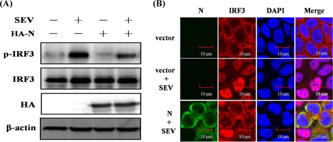 FIG 3