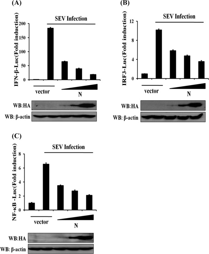 FIG 2