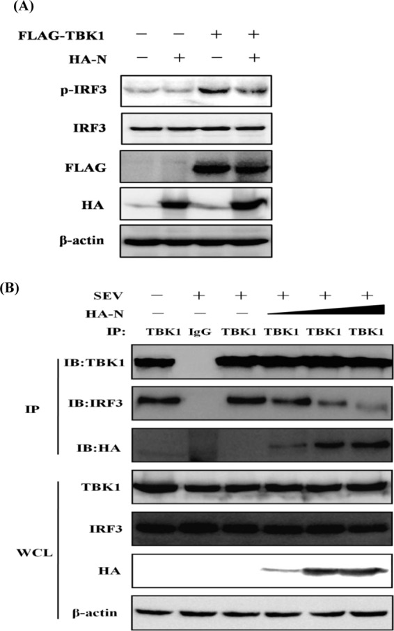 FIG 6