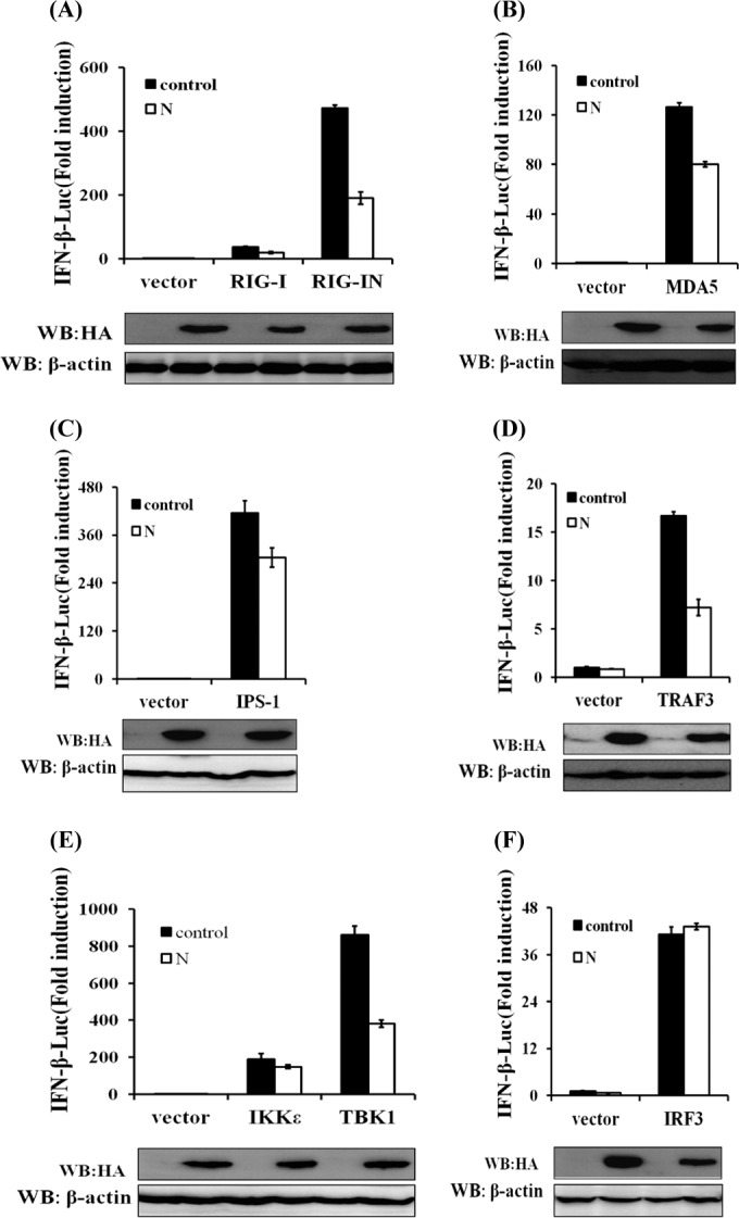 FIG 4