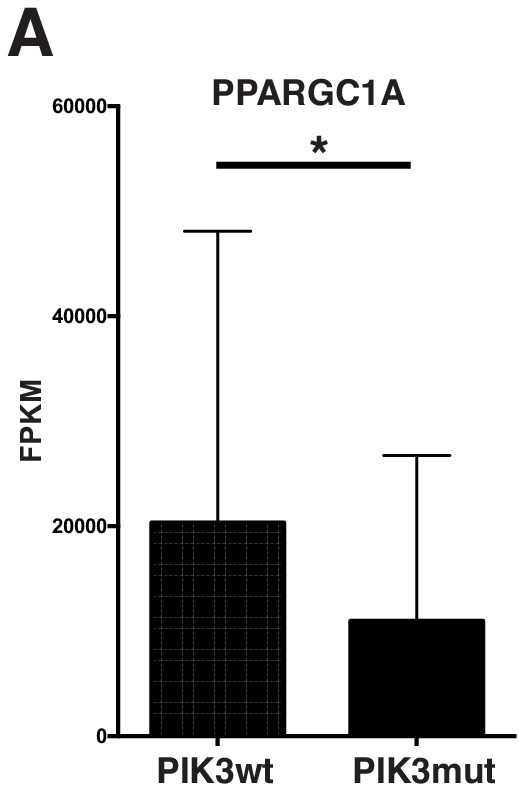 Figure 6—figure supplement 1.