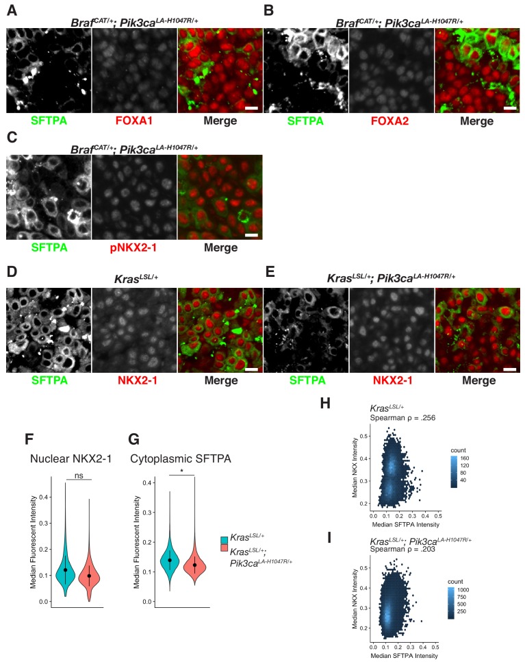 Figure 4—figure supplement 1.