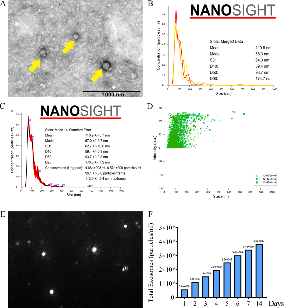 Figure 2: