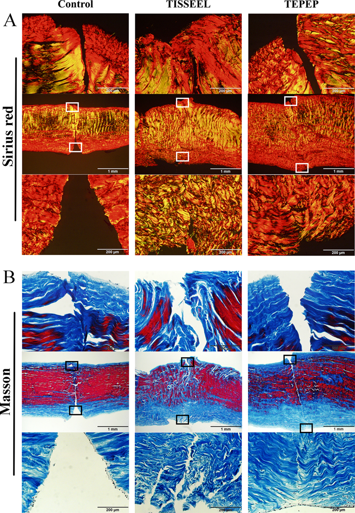 Figure 5: