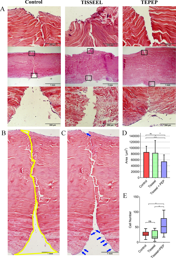 Figure 4: