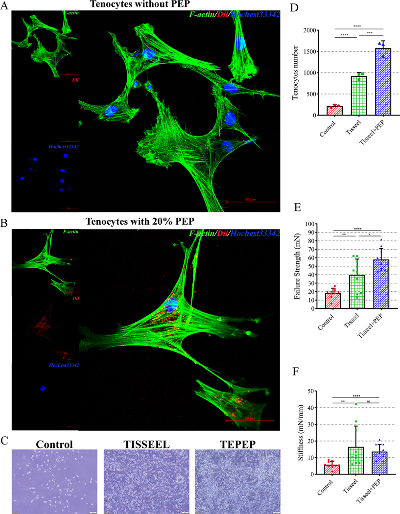 Figure 3: