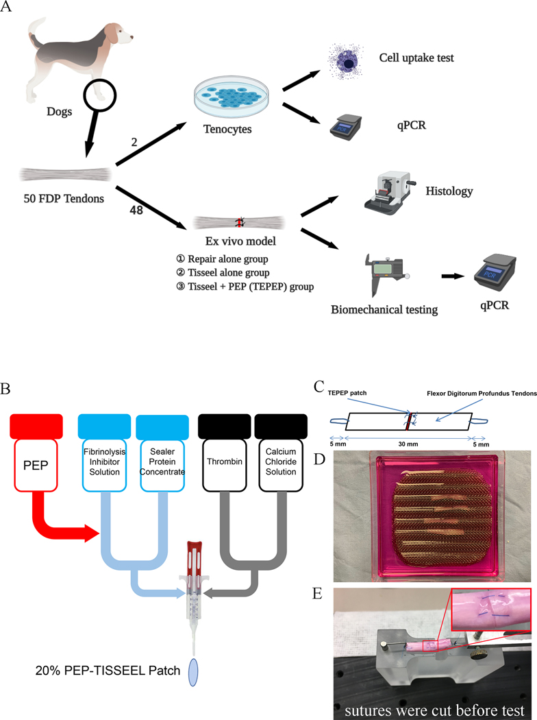 Figure 1: