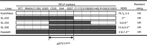 Fig. 5