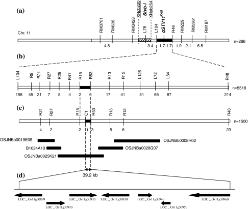 Fig. 6