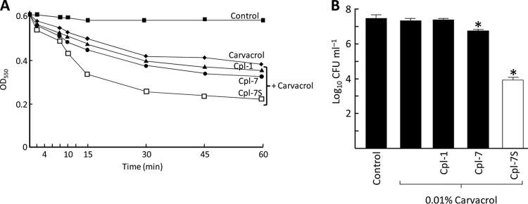 Fig 5