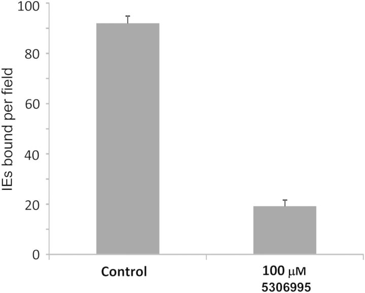 Figure 7.