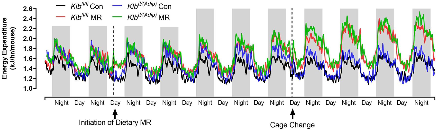 Figure 1 -