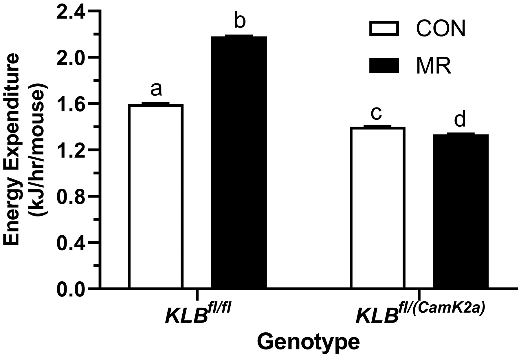 Figure 1 -