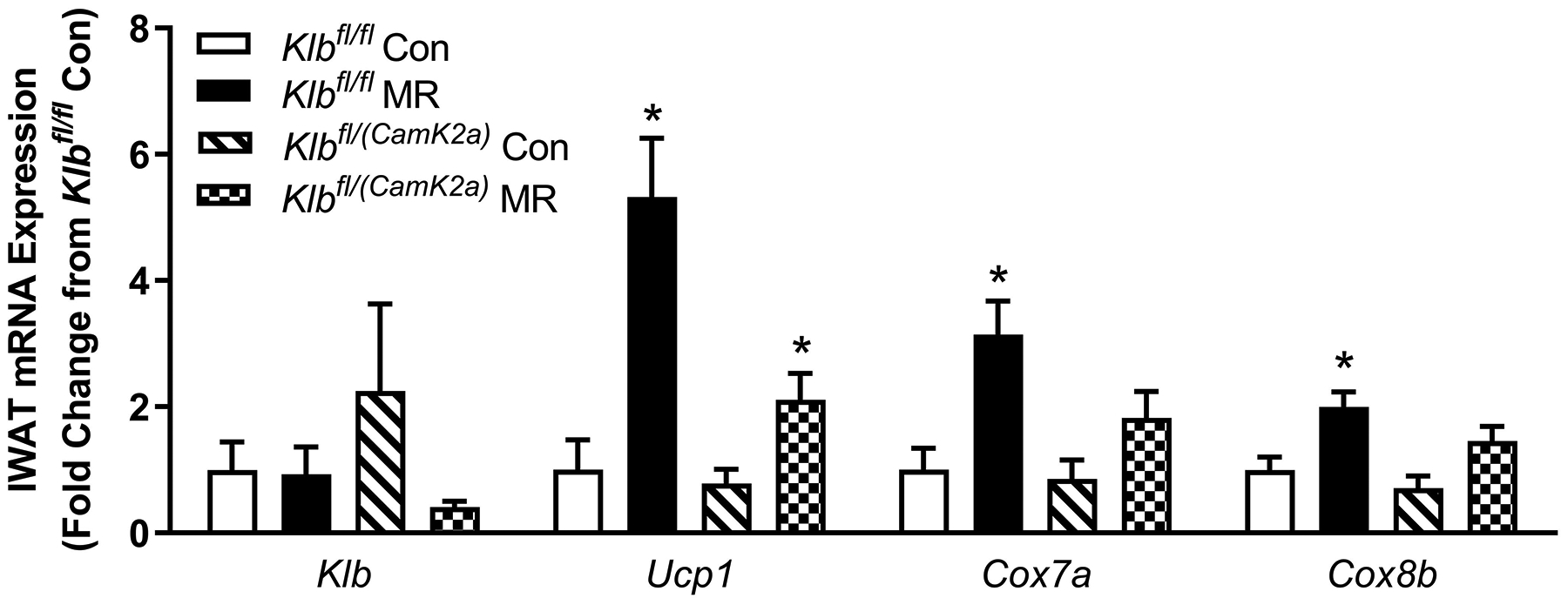 Figure 2 -