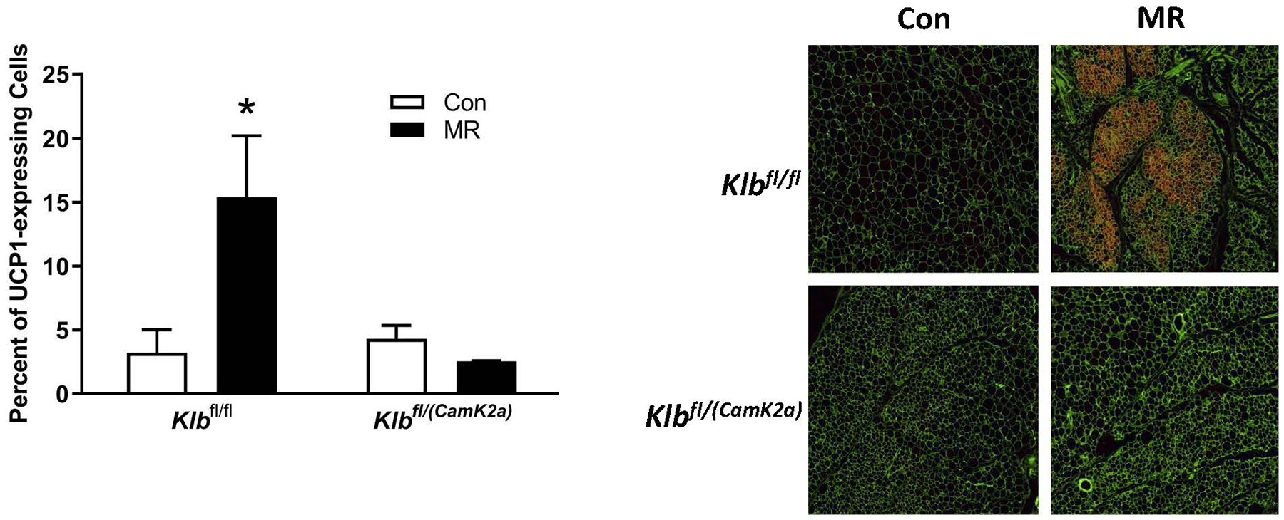 Figure 2 -