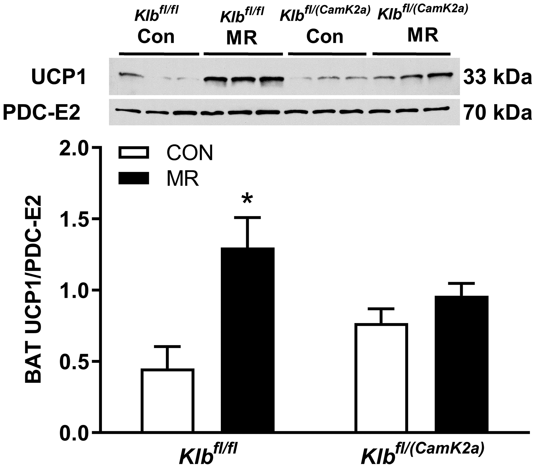 Figure 3 -