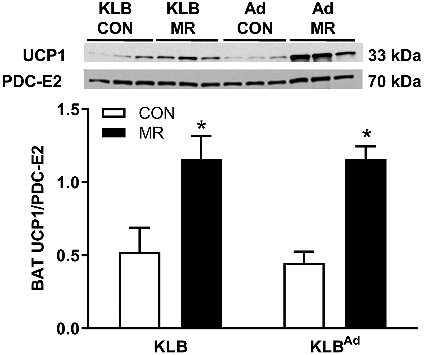 Figure 3 -