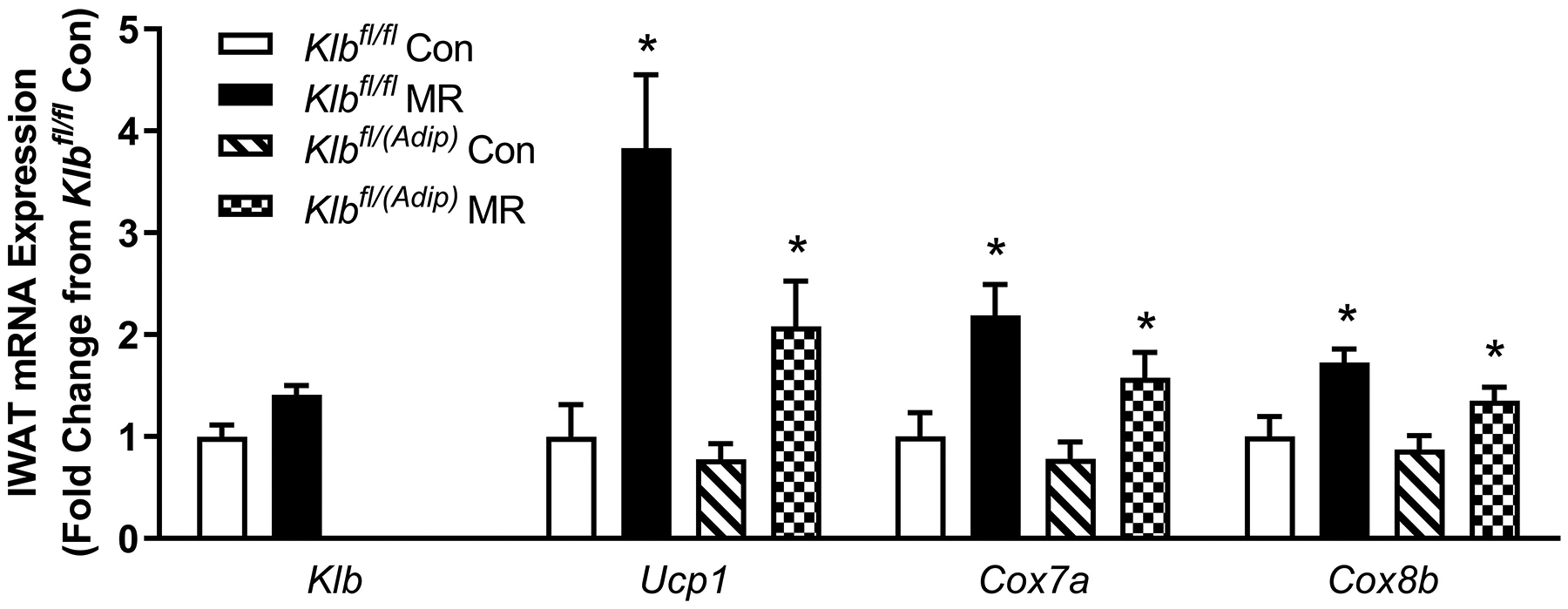 Figure 2 -