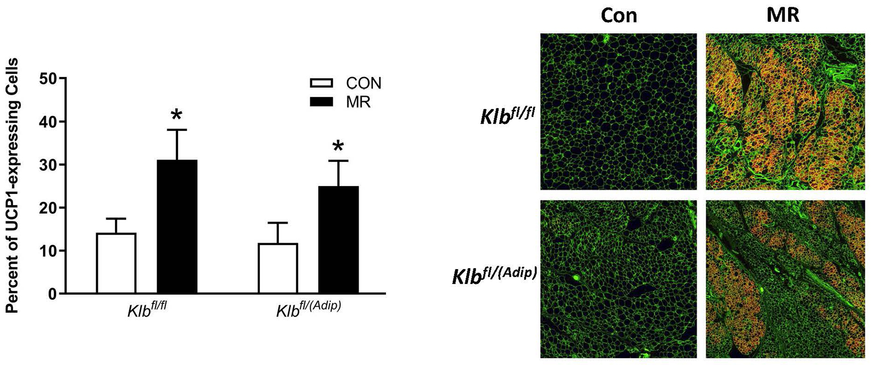 Figure 2 -