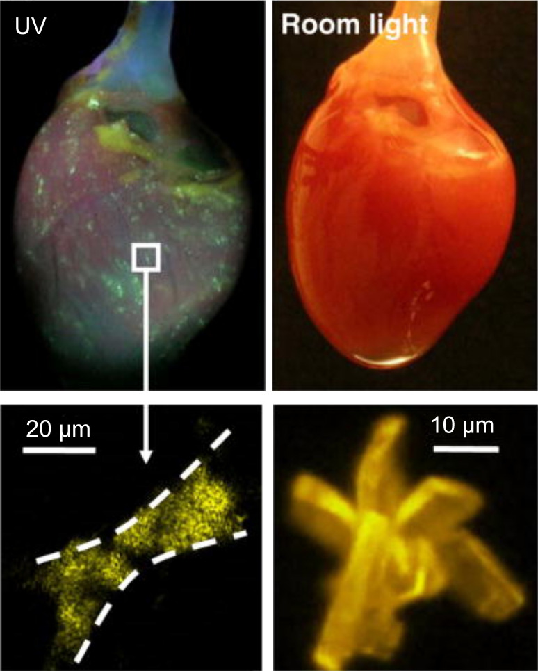 Figure 3.