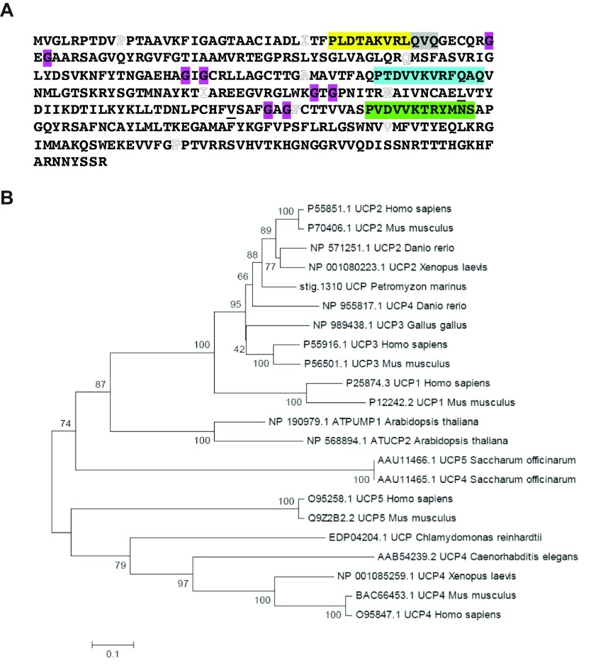 Fig. 11.