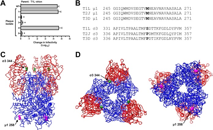 FIG 1