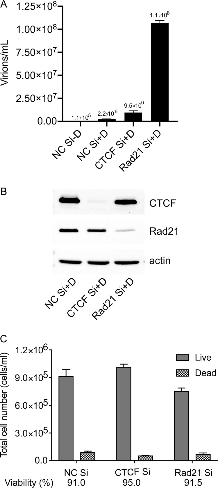 FIG 1