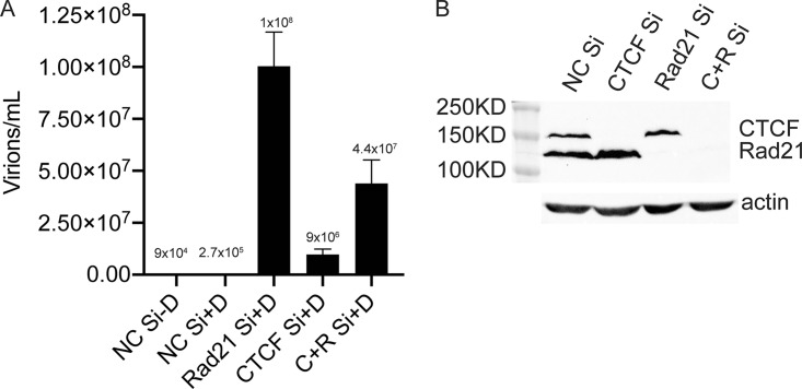 FIG 4