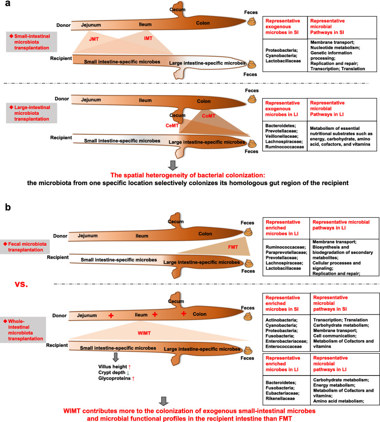 Fig. 10