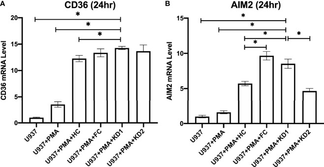 Figure 5