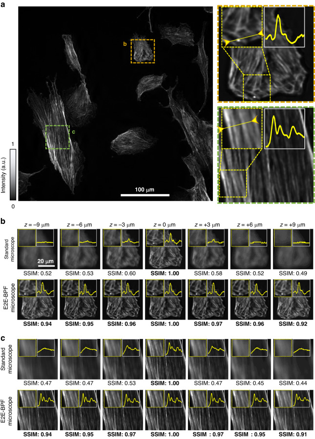 Fig. 5