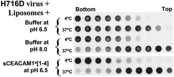 FIG. 5.