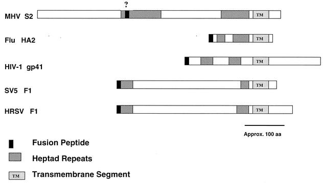 FIG. 7.