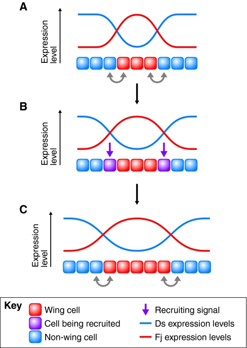 Fig. 4.