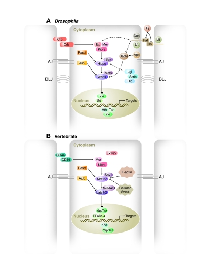 Fig. 2.