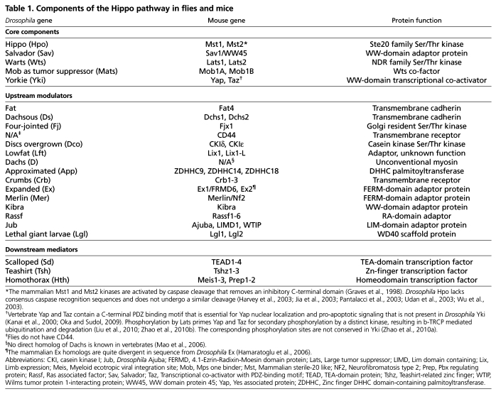 graphic file with name table001.jpg