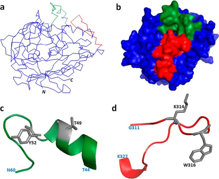 FIGURE 4.