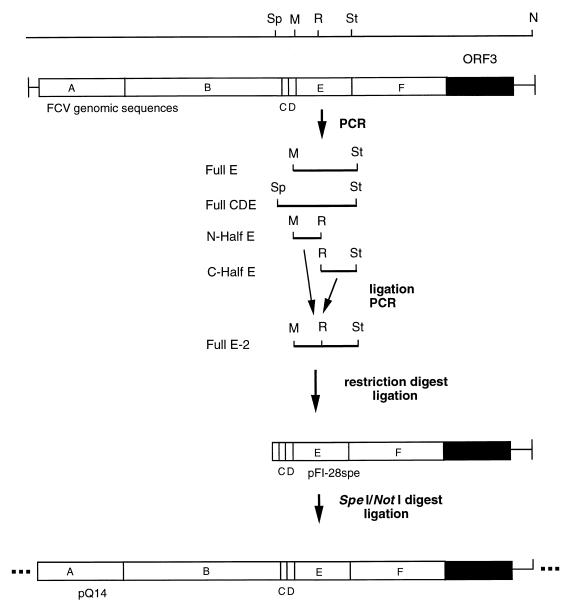 FIG. 1