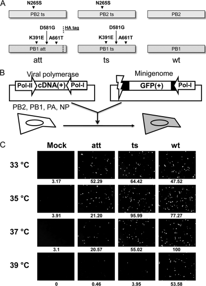 FIG. 1.