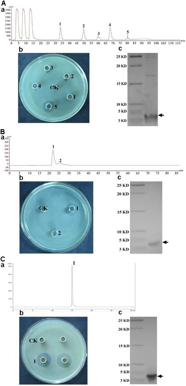 FIGURE 2