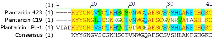 FIGURE 4