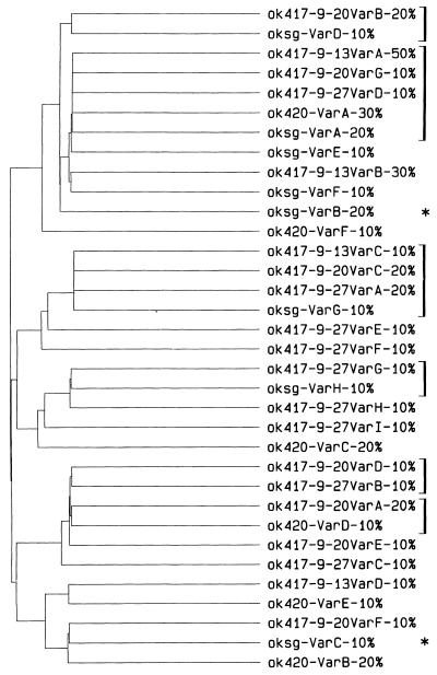 FIG. 7