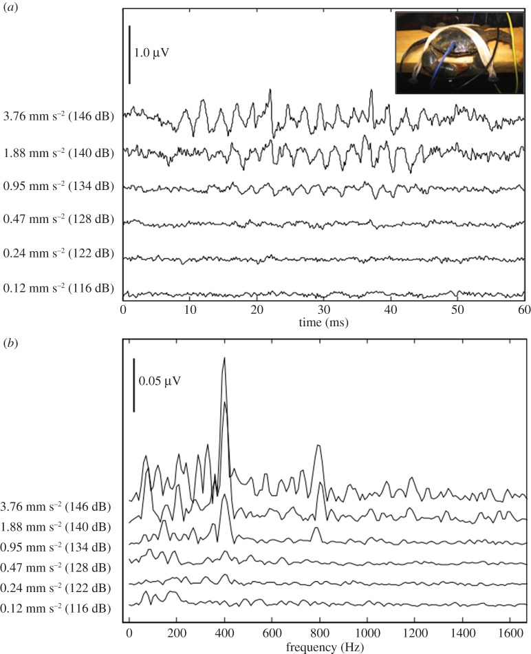 Figure 1.